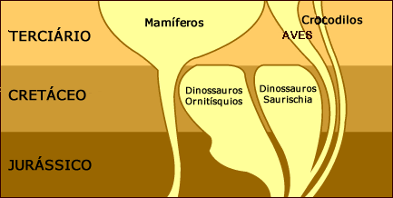 A extin&ccedil;&atilde;o dos dinossauros no final do Cret&aacute;ceo pode ter permitido que a radia&ccedil;&atilde;o dos mam&iacute;feros
