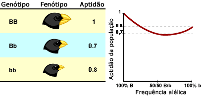 Paisagem adaptativa hipot&eacute;tica
