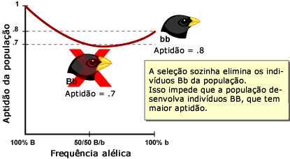 Ervas daninhas sele&ccedil;&atilde;o sozinho para fora indiv&iacute;duos Bb