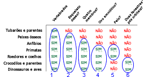 Olhando para todos os caracteres derivados compartilhados
