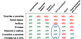 Centrando-se no ovo amni&oacute;tico