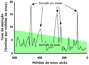 As taxas de extin&ccedil;&atilde;o de 600 milh&otilde;es de anos atr&aacute;s at&eacute; o presente