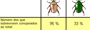 Como determinar a aptid&atilde;o em nossa popula&ccedil;&atilde;o de besouros