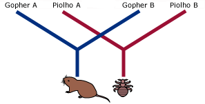Quando gophers tornam-se isolados, seus piolhos tornam-se isolados