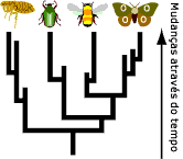 Longo prazo w alterar / heran&ccedil;a