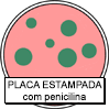 C&oacute;pia de bact&eacute;rias expostas &agrave; penicilina