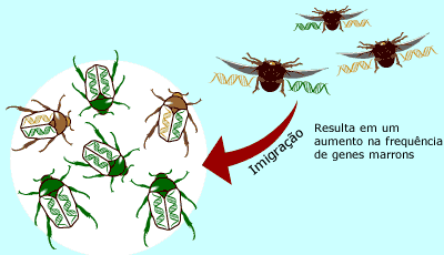 Migra&ccedil;&atilde;o