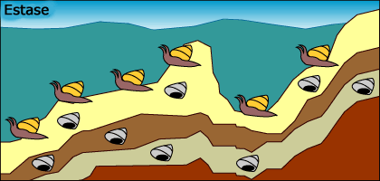 A popula&ccedil;&atilde;o de moluscos est&aacute; experimentando estase