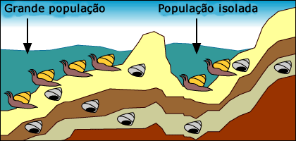 Uma pequena parcela da popula&ccedil;&atilde;o &eacute; cortada do resto