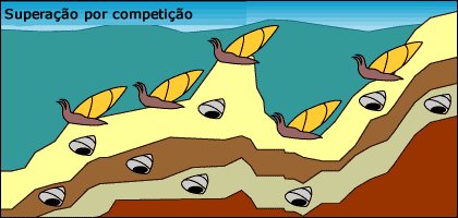 A popula&ccedil;&atilde;o antes isoladas fora concorre a popula&ccedil;&atilde;o ancestral