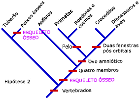Hip&oacute;tese exigindo sete mudan&ccedil;as evolutivas
