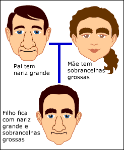 Baralhar de combina&ccedil;&otilde;es de genes