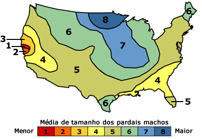 Pardal - mapa de distribui&ccedil;&atilde;o de tamanho