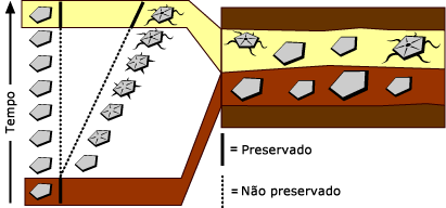 gradualismo fil&eacute;tico