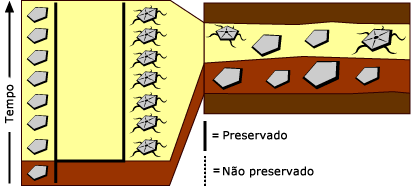 Macromuta&ccedil;&atilde;o