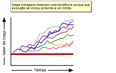 Estas linhagens mostram uma tend&ecirc;ncia, porque a sua evolu&ccedil;&atilde;o come&ccedil;ou perto de um limite