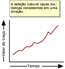A sele&ccedil;&atilde;o natural faz com que a mudan&ccedil;a consistente em uma dire&ccedil;&atilde;o