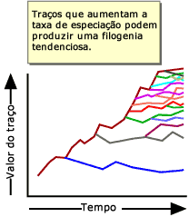 Caracter&iacute;sticas que aumentam as taxas de especia&ccedil;&atilde;o tendem a mudar em uma dire&ccedil;&atilde;o