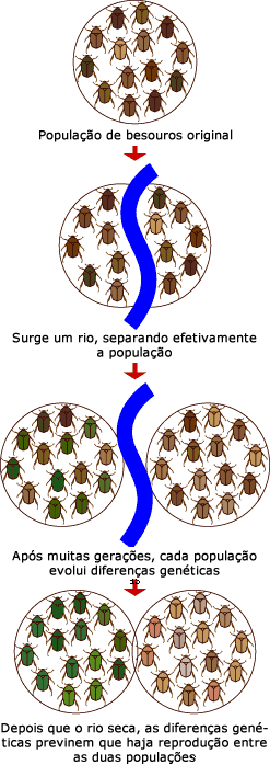 Especia&ccedil;&atilde;o por isolamento geogr&aacute;fico
