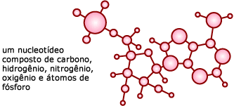 um nucleot&iacute;deo, composto de carbono, &aacute;tomos de hidrog&ecirc;nio, oxig&ecirc;nio, nitrog&ecirc;nio e f&oacute;sforo