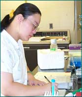 Verifica&ccedil;&atilde;o de dados