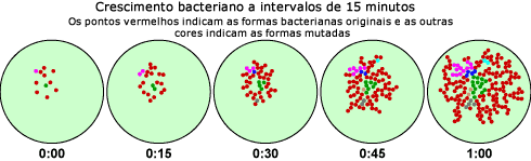 o crescimento bacteriano